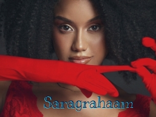saragrahaam Archive DVD BIZ