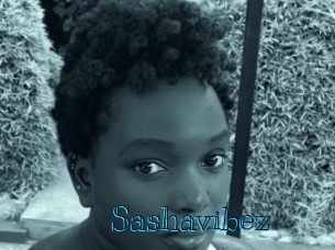 sashavibez Archive DVD BIZ
