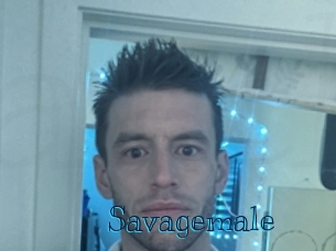 savagemale Archive DVD BIZ