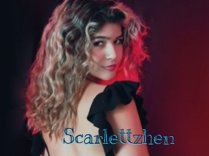 scarlettzhen Archive DVD BIZ