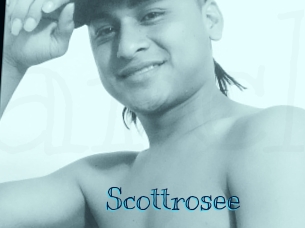 Scottrosee