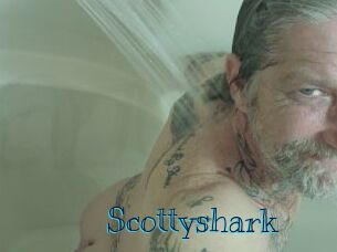 Scottyshark