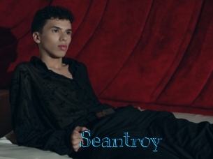 seantroy Archive DVD BIZ