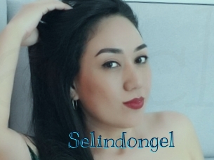 selindongel Archive DVD BIZ