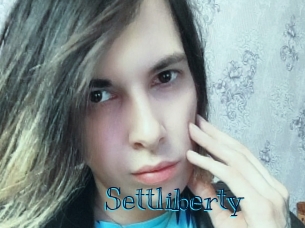 settliberty Archive DVD BIZ