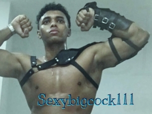 sexybigcock111 Archive DVD BIZ