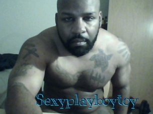 sexyplayboytoy Archive DVD BIZ