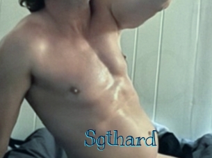 sgthard Archive DVD BIZ