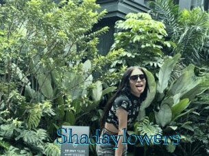shadaylowers Archive DVD BIZ