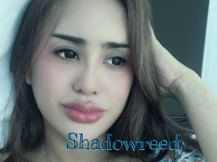 shadowreed Archive DVD BIZ