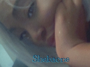 shebaone Archive DVD BIZ