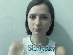 shelysky Archive DVD BIZ