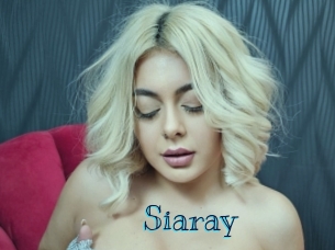 siaray Archive DVD BIZ