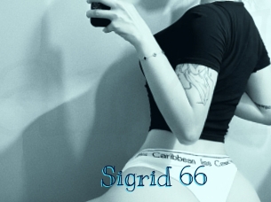 sigrid_66 Archive DVD BIZ