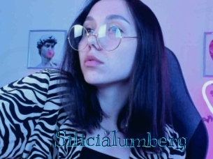 Silicialumberg