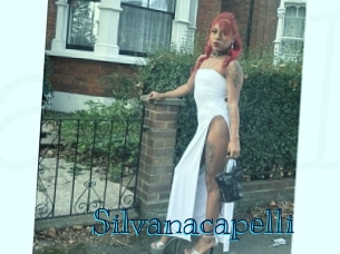 silvanacapelli Archive DVD BIZ
