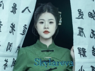 skylareva Archive DVD BIZ