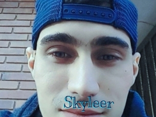 skyleer Archive DVD BIZ