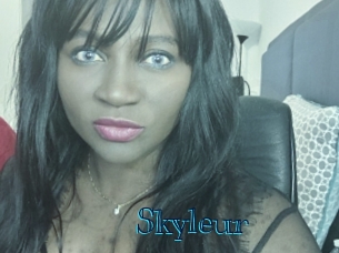 skyleur Archive DVD BIZ