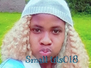 Small_tits018