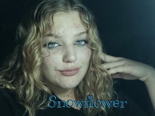 snowflower Archive DVD BIZ