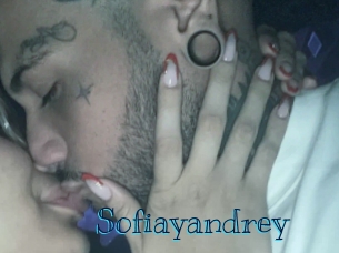 sofiayandrey Archive DVD BIZ