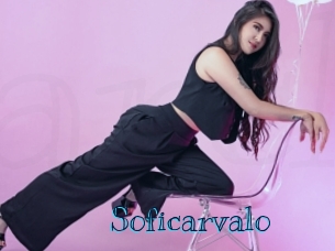 soficarvalo Archive DVD BIZ