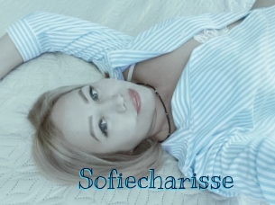 sofiecharisse Archive DVD BIZ