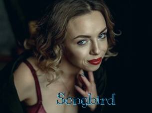 songbird Archive DVD BIZ