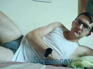 sonicegay Archive DVD BIZ
