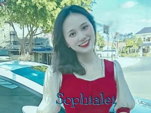 sophialei Archive DVD BIZ