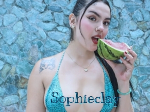 sophieclay Archive DVD BIZ
