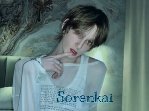 sorenkai Archive DVD BIZ