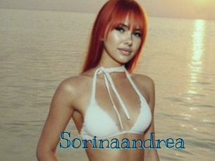 sorinaandrea Archive DVD BIZ