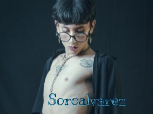 soroalvarez Archive DVD BIZ