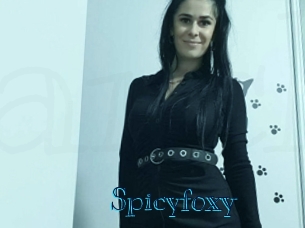 spicyfoxy Archive DVD BIZ