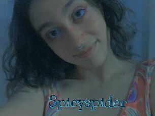 spicyspider Archive DVD BIZ