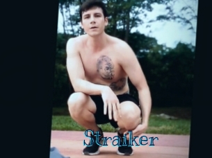 straiker Archive DVD BIZ