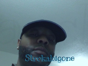 strokabigone Archive DVD BIZ