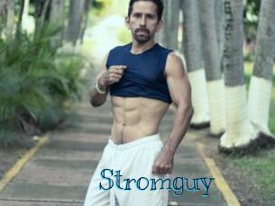 Stromguy