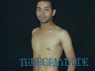 THEHORNYDUDE