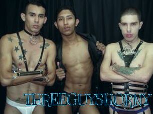 THREEGUYSHORNY Archive DVD BIZ