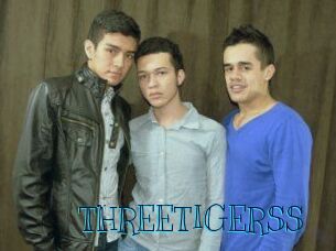THREETIGERSS Archive DVD BIZ