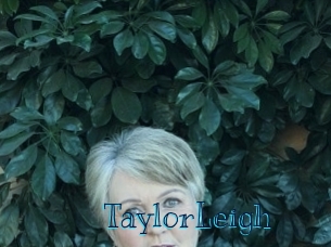 TaylorLeigh Archive DVD BIZ