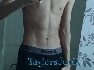 TaylorsJunk