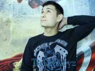 TeddyNoyz