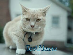 TestAlaric