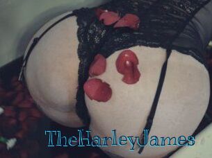 TheHarleyJames