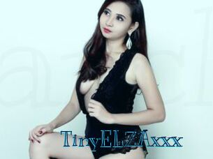 TinyELZAxxx Archive DVD BIZ