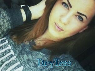 TinyTess